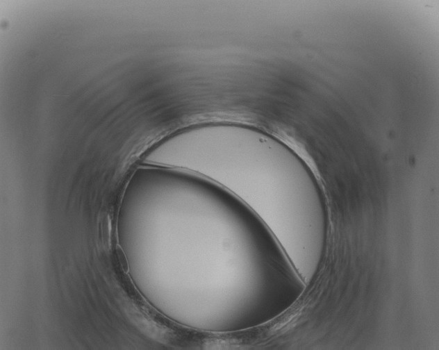 X0000062860109200601201739