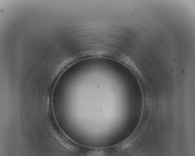 X0000062860110200601201739