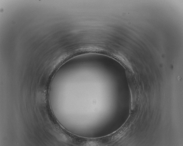 X0000062860111200601201739