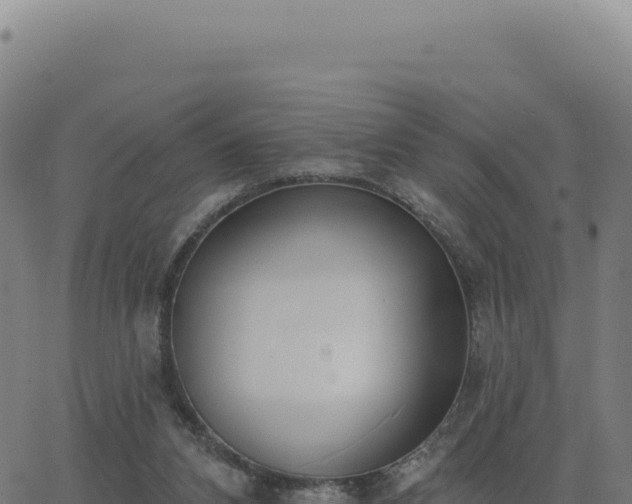 X0000062860112200601201739