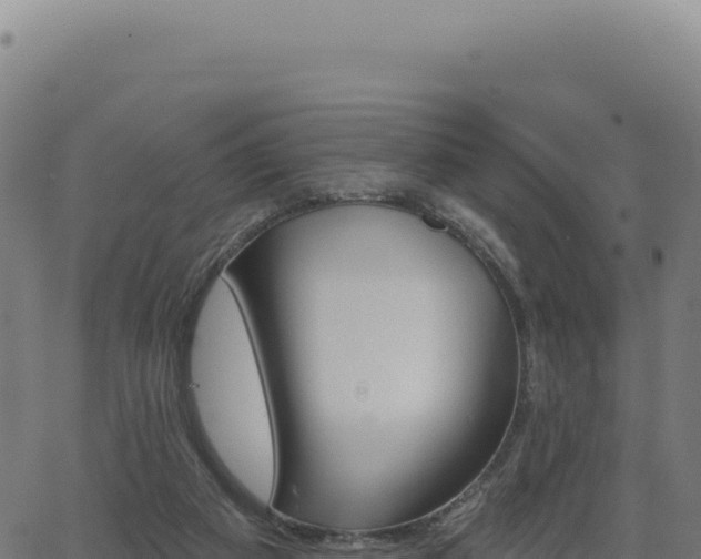 X0000062860113200601201739