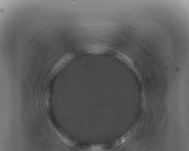 X0000062860114200601201739