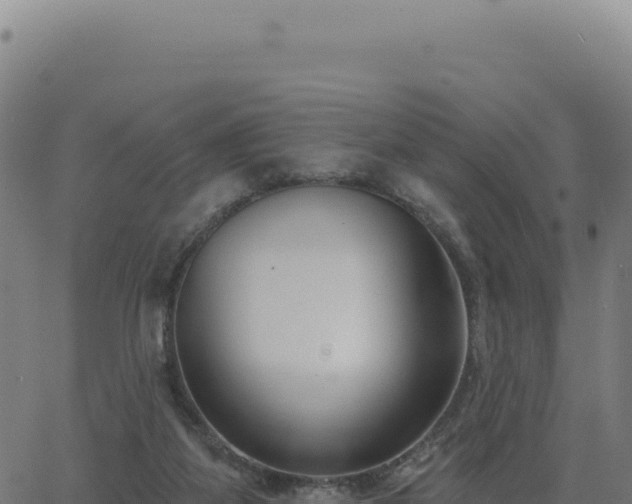 X0000062860115200601201739