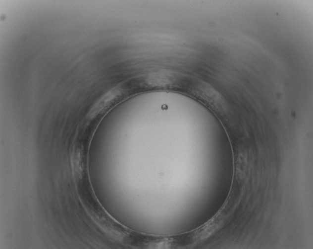 X0000062860116200601201739