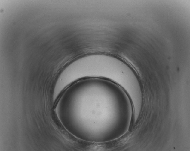 X0000062860117200601201739