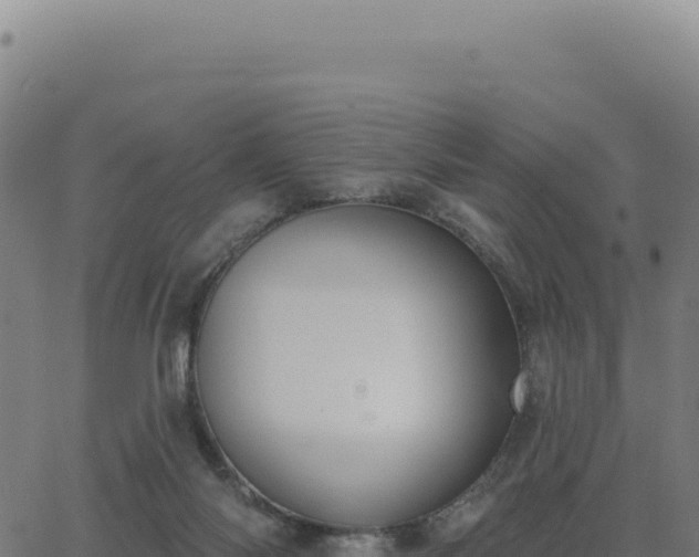 X0000062860118200601201739