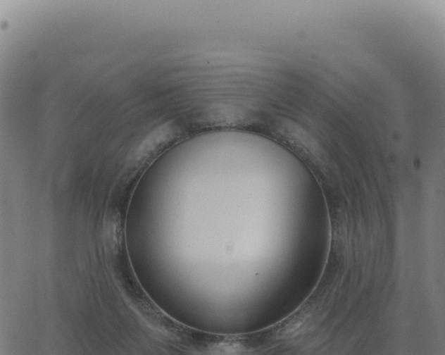 X0000062860119200601201739