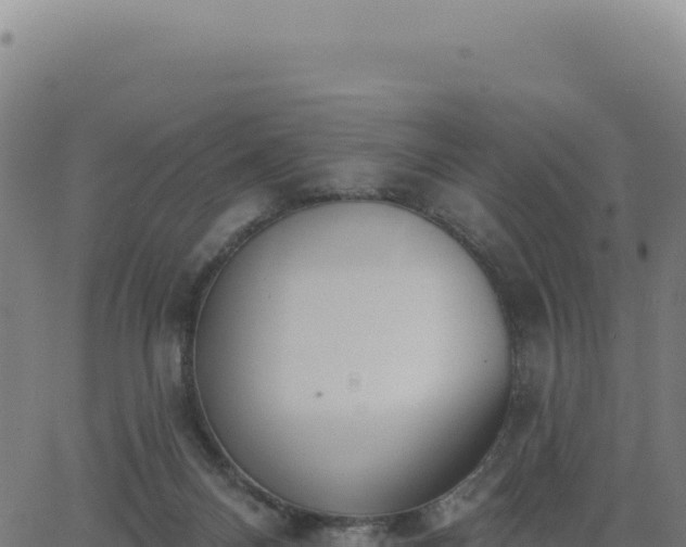 X0000062860120200601201739