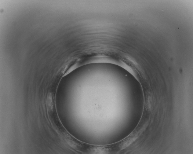 X0000062860121200601201739