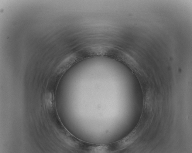 X0000062860122200601201739