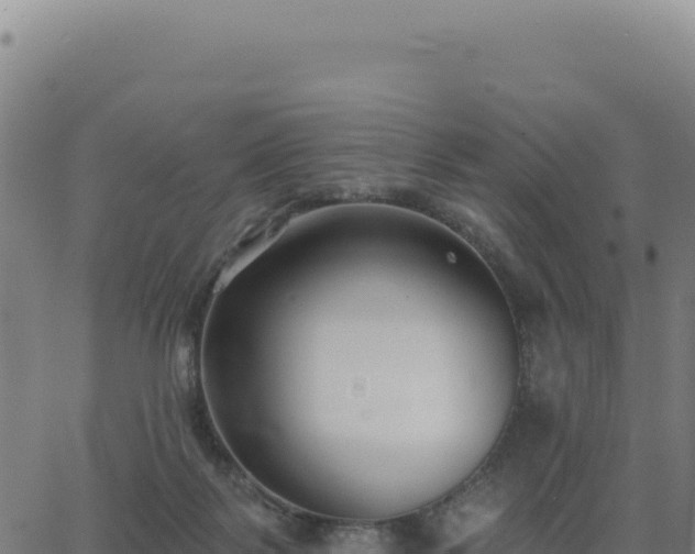 X0000062860123200601201739