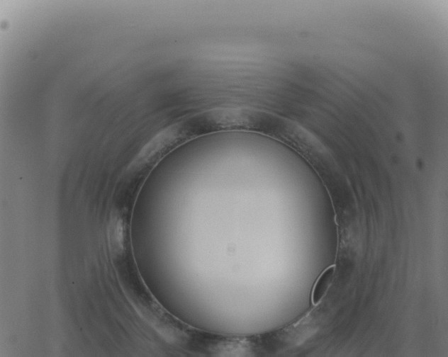 X0000062860124200601201739