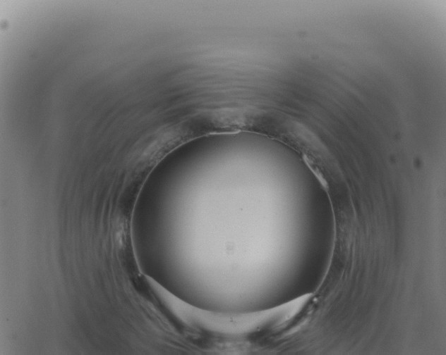 X0000062860125200601201738