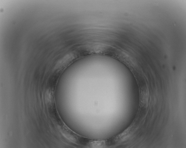 X0000062860126200601201738