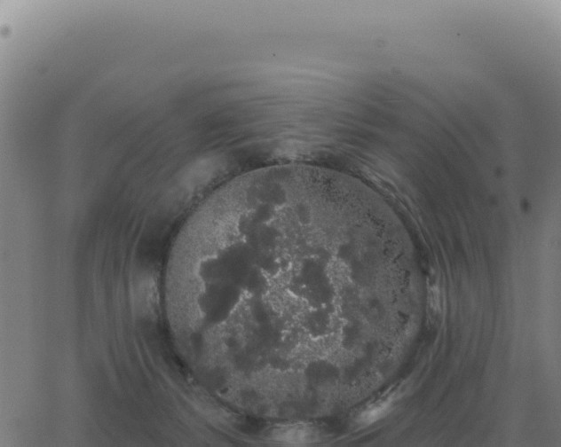 X0000062860127200601201738