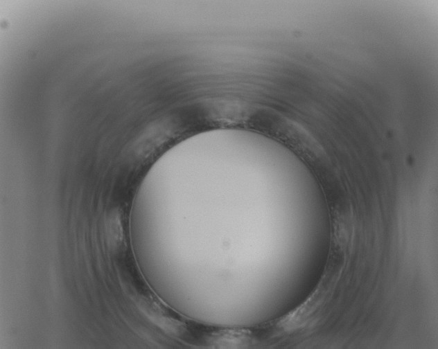 X0000062860128200601201738