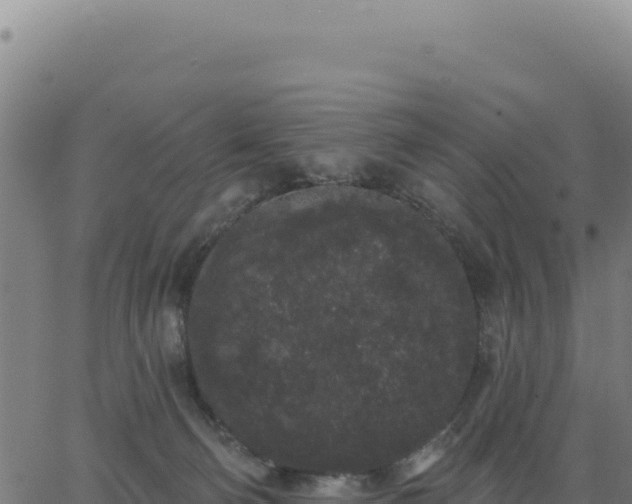 X0000062860130200601201738