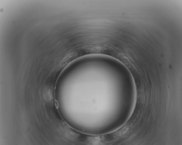 X0000062860131200601201738