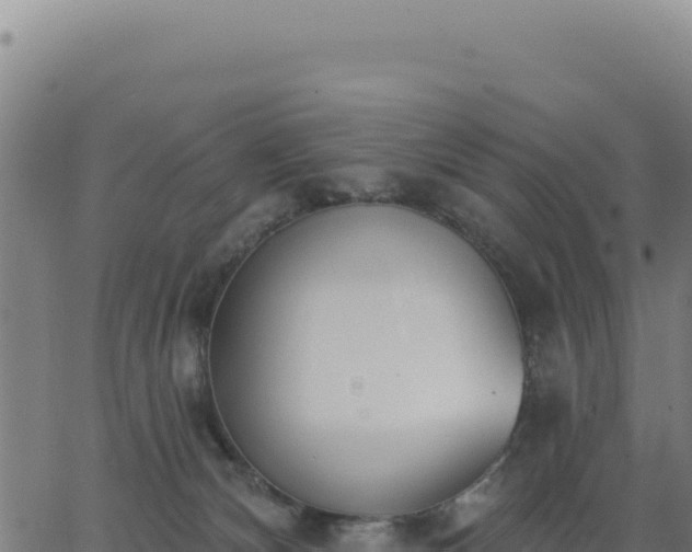 X0000062860132200601201738