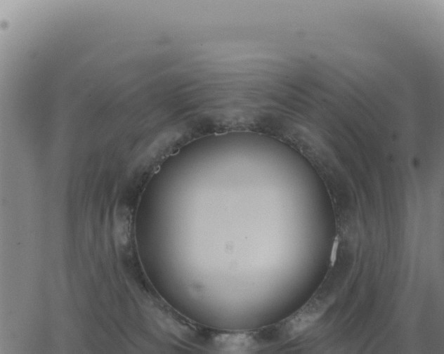 X0000062860133200601201738