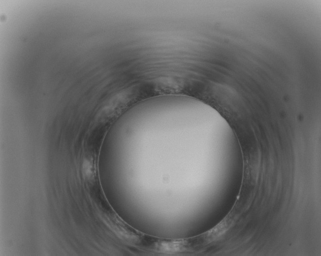 X0000062860134200601201738