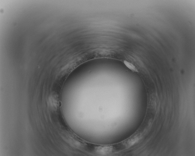 X0000062860135200601201738