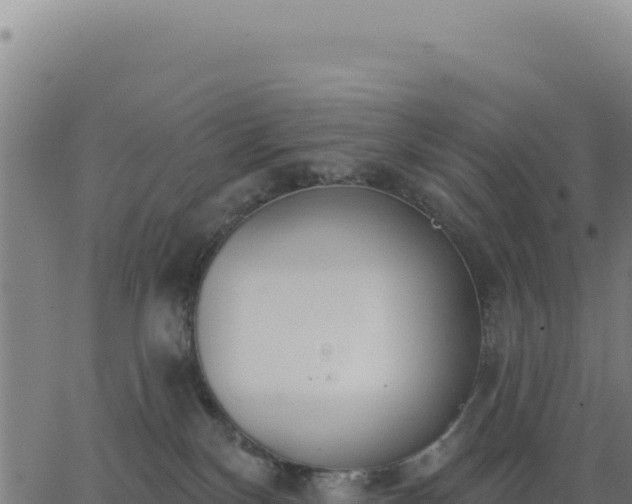 X0000062860136200601201738