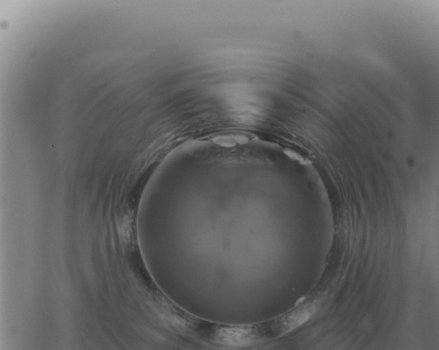 X0000062860139200601201738