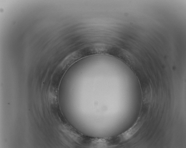 X0000062860140200601201738