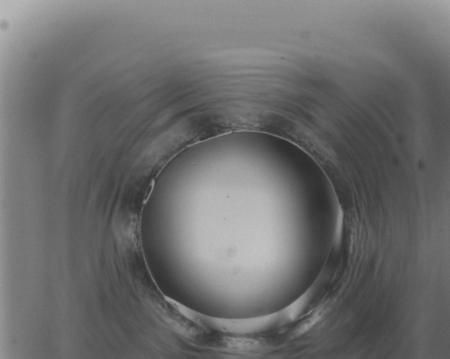 X0000062860141200601201738