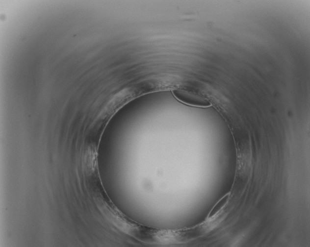 X0000062860142200601201738