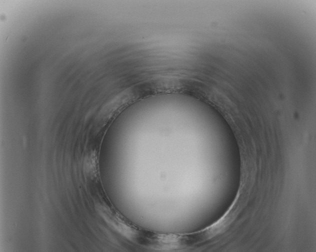 X0000062860144200601201738