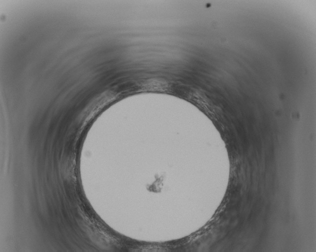 X0000062860146200601201737