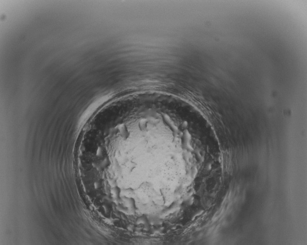 X0000062860147200601201737