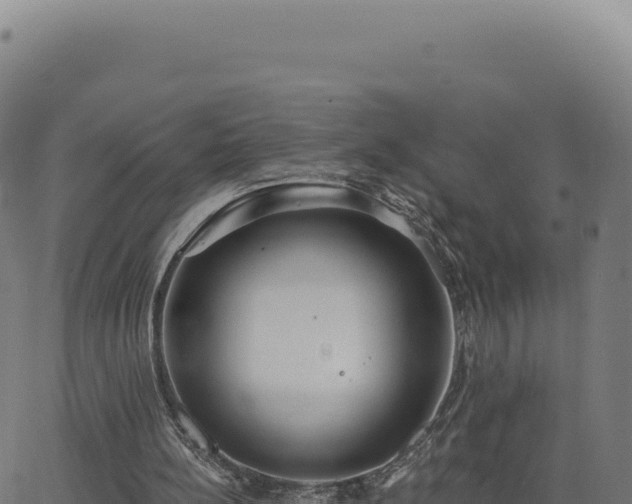 X0000062860148200601201737