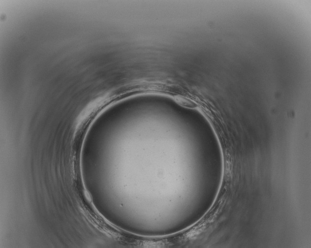 X0000062860149200601201737