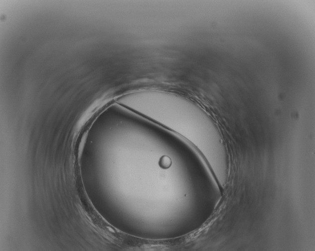 X0000062860150200601201737