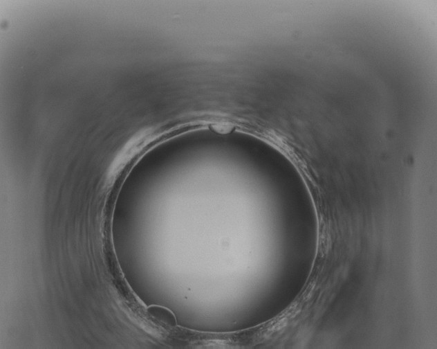 X0000062860151200601201737