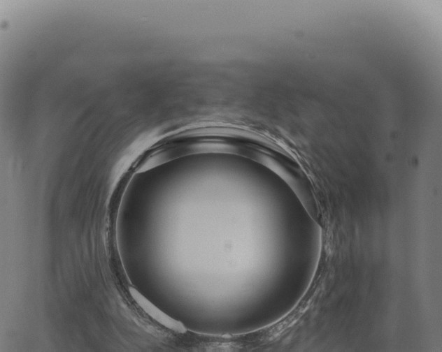 X0000062860152200601201737