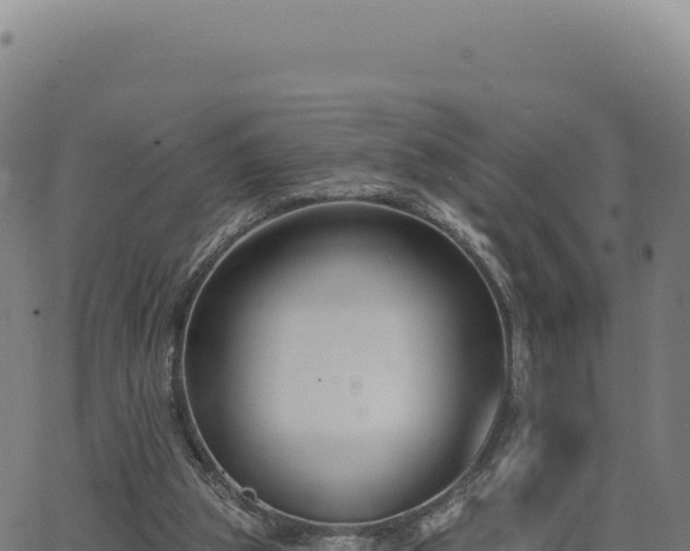 X0000062860153200601201738