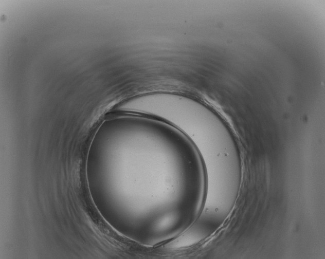 X0000062860154200601201738