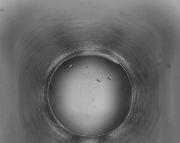 X0000062860155200601201738