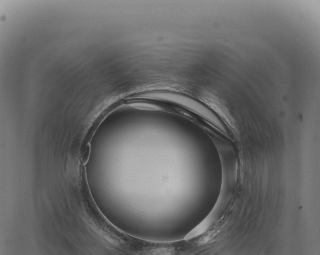 X0000062860156200601201738