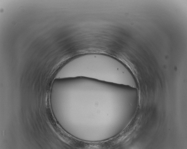 X0000062860157200601201738