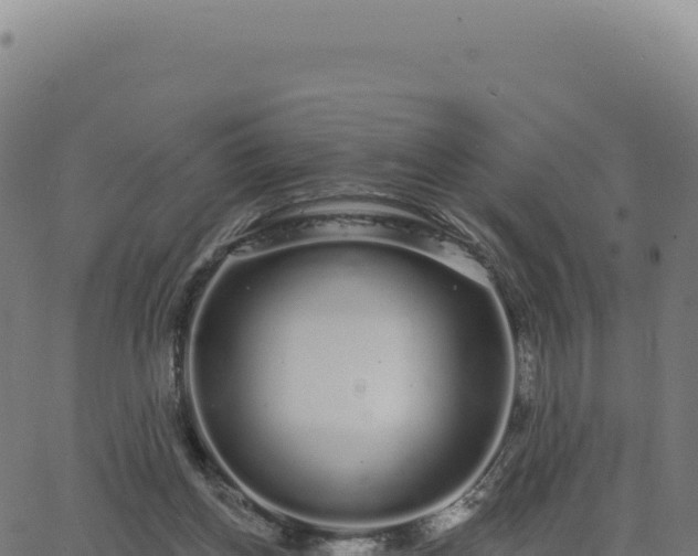 X0000062860158200601201738