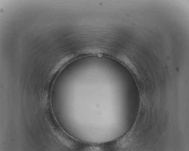 X0000062860159200601201738