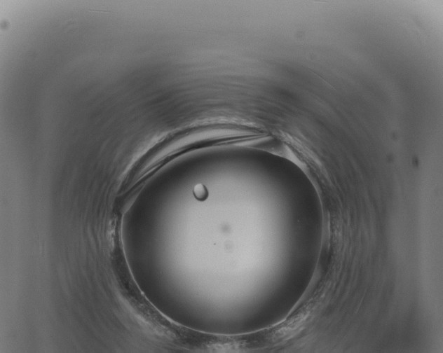 X0000062860160200601201738