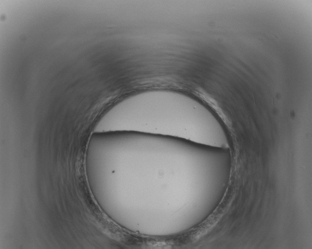 X0000062860161200601201738