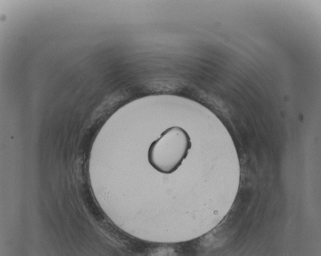 X0000062860162200601201738