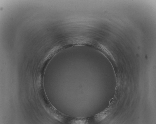 X0000062860163200601201738